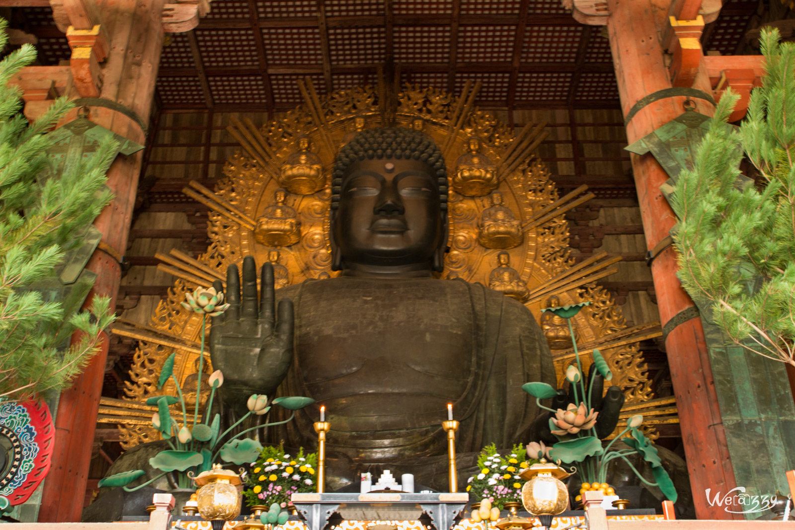 Japon, Nara, Voyage