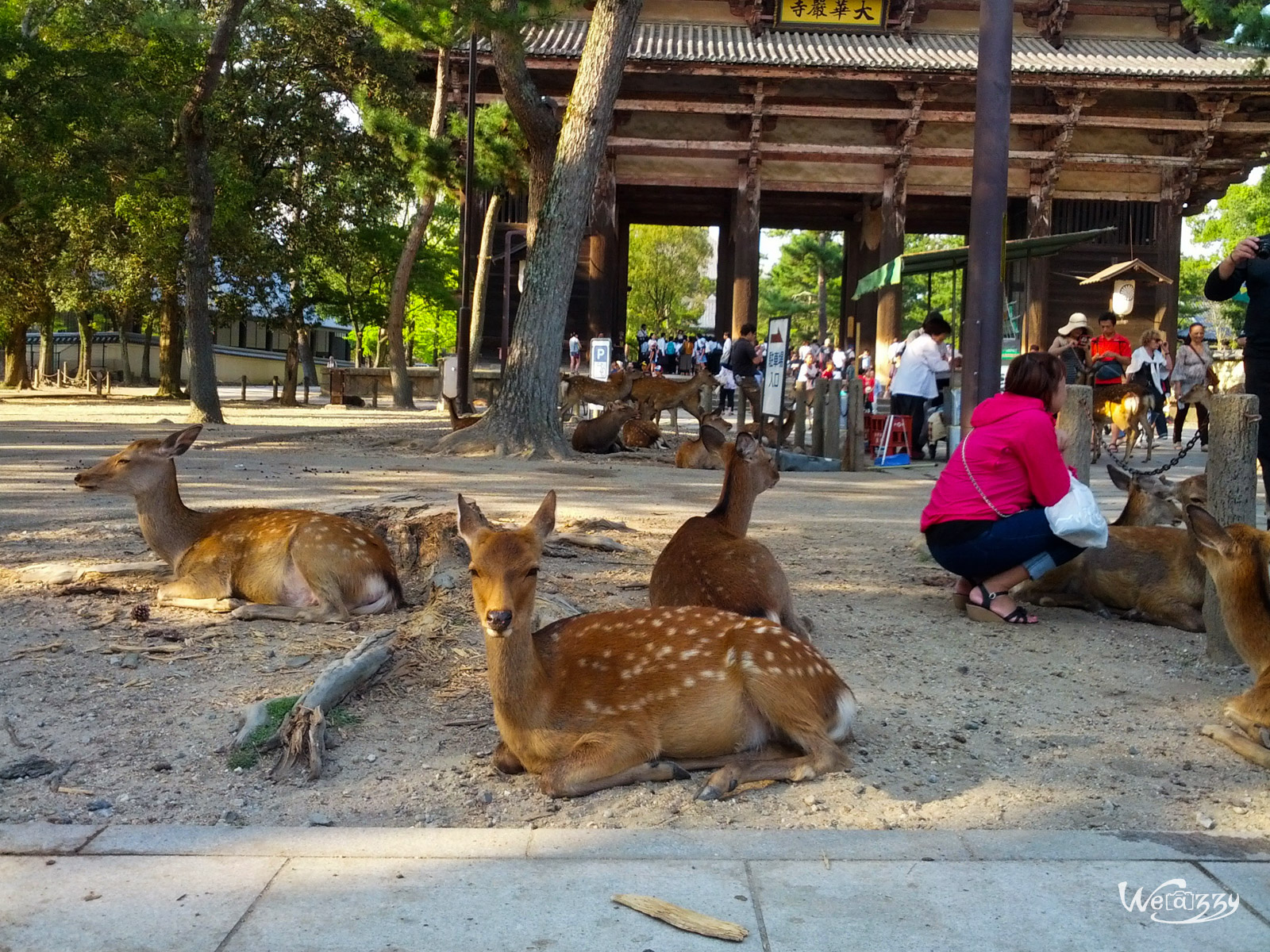 Japon, Nara