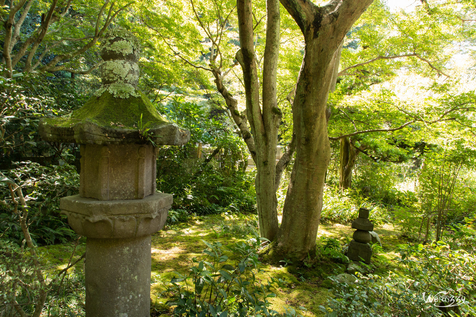 Japon, Voyage, Yokohama