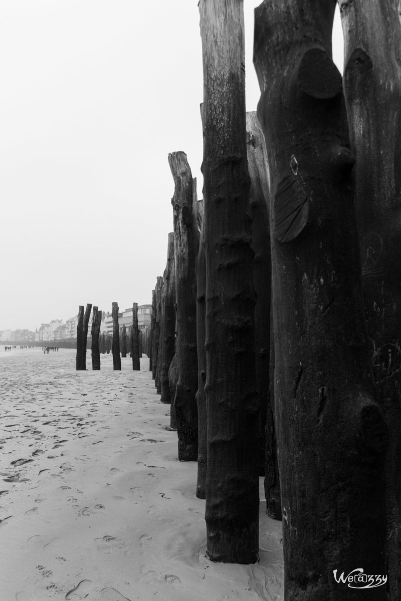 France, Nature, Plage, Saint-Malo