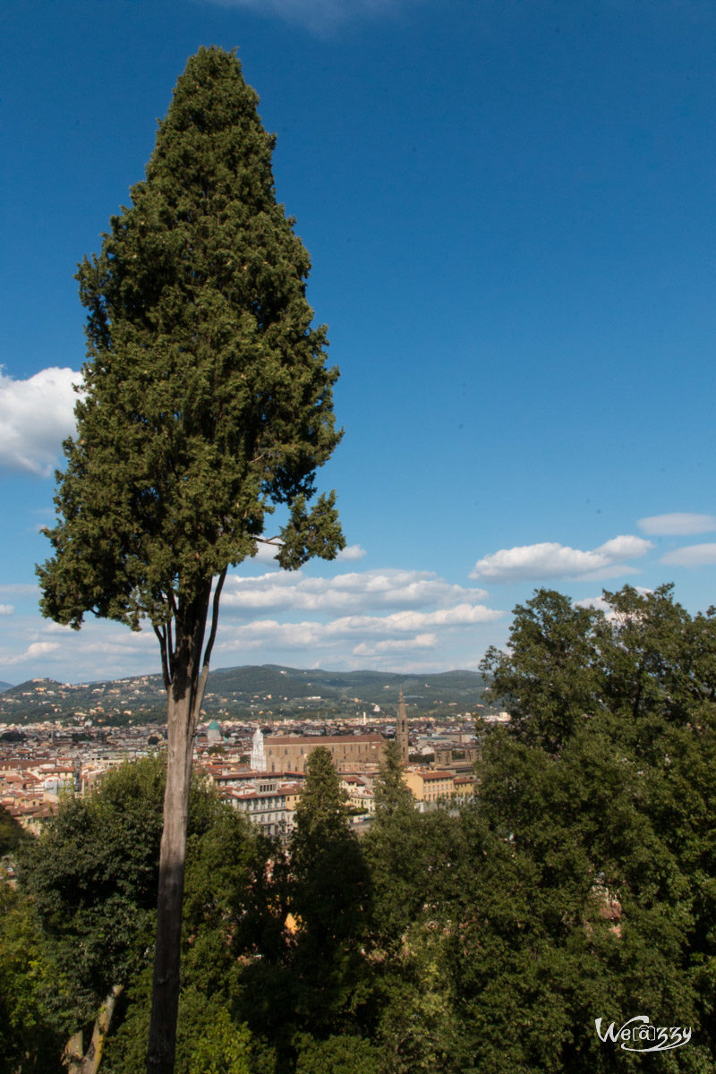 Florence, Italie, Toscane, Voyage