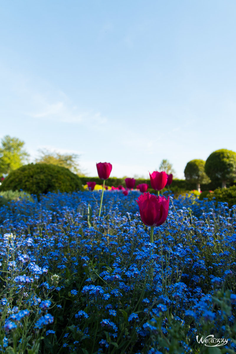 Parc de Sceaux, Paris, Ville