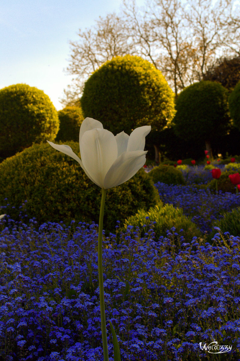 Parc de Sceaux, Paris, Ville