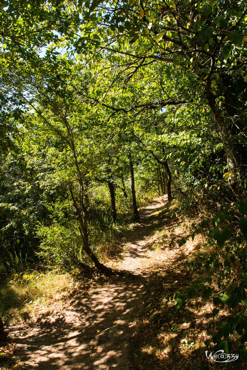 France, Nantes, Nature, Rivière