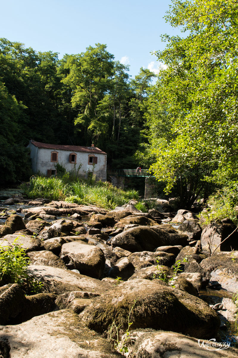 France, Nantes, Nature, Rivière