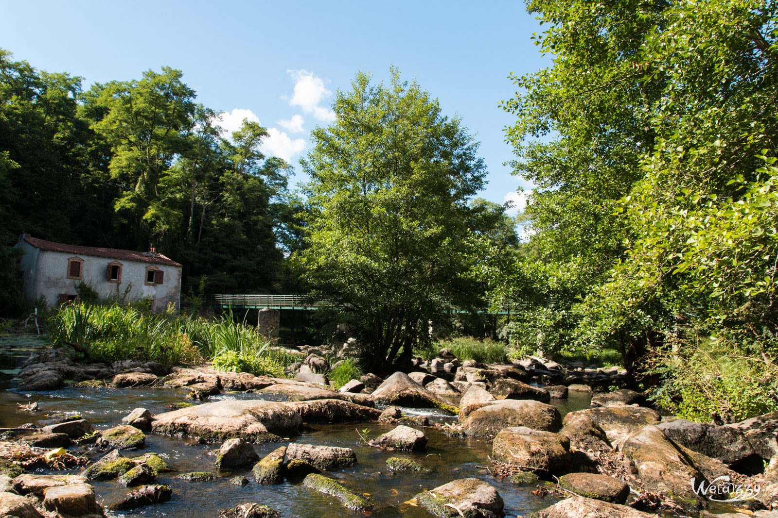 France, Nantes, Nature, Rivière