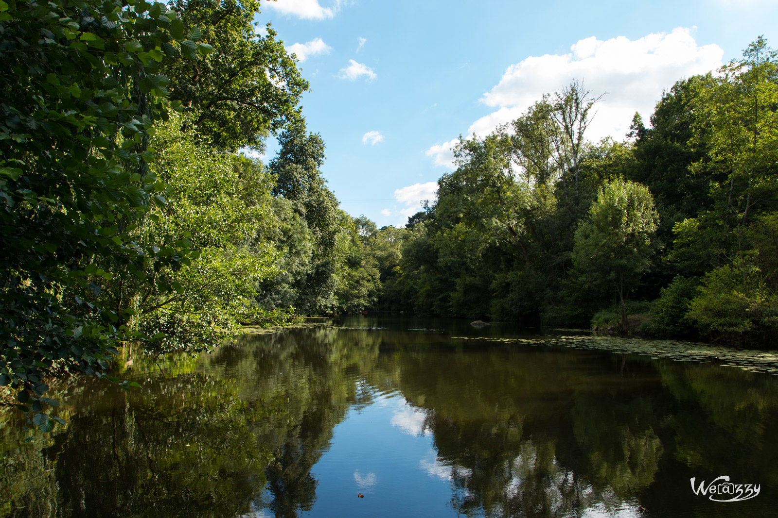 France, Nantes, Nature, Rivière