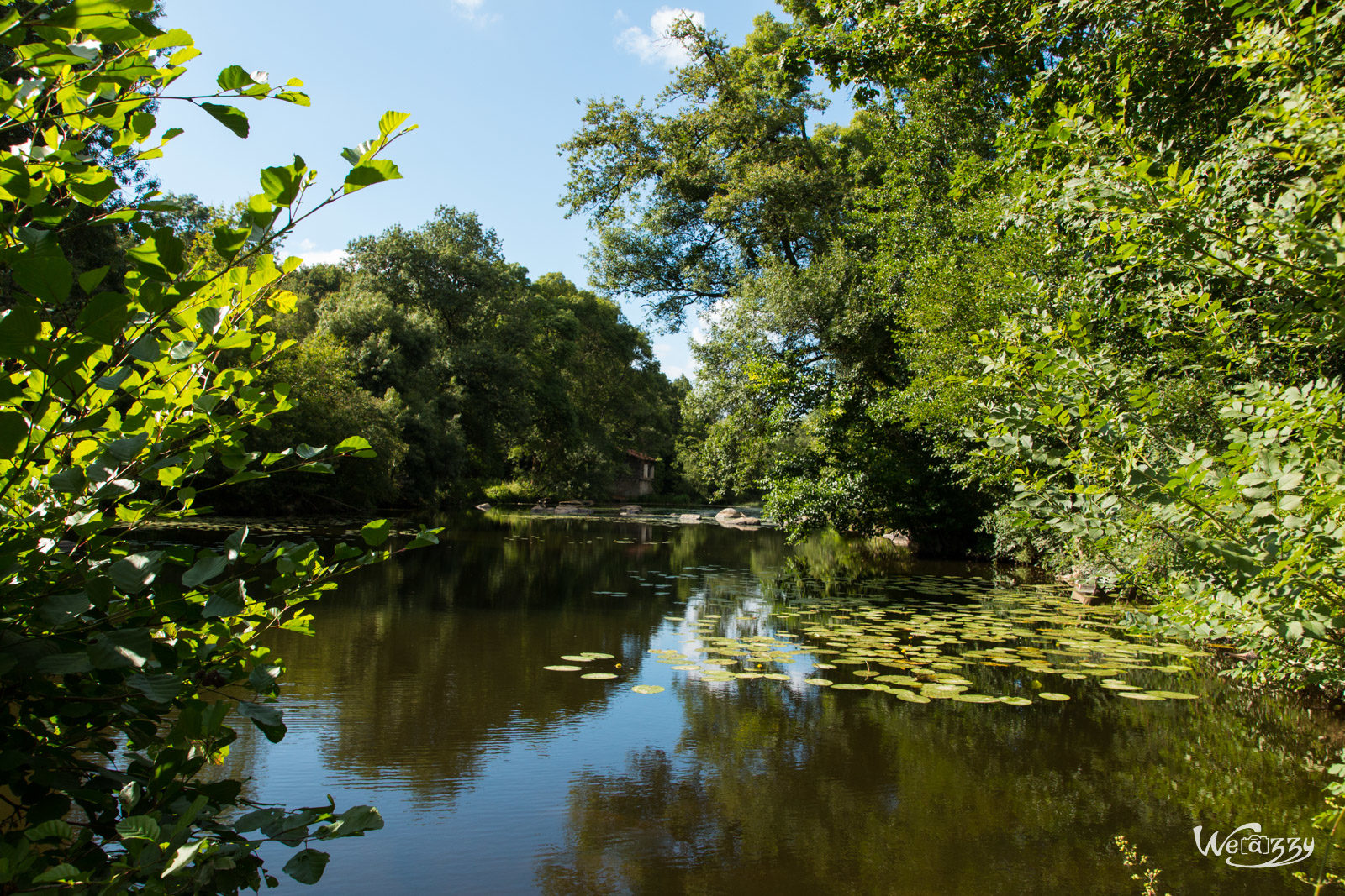 France, Nantes, Nature, Rivière