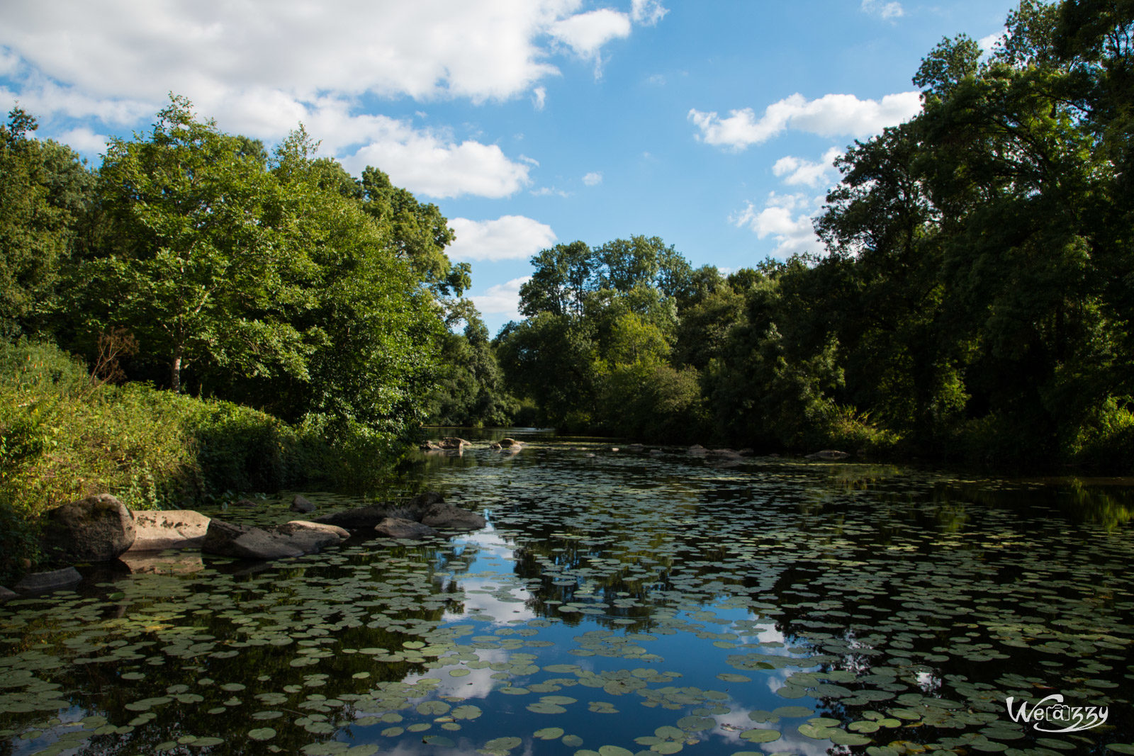 France, Nantes, Nature, Rivière