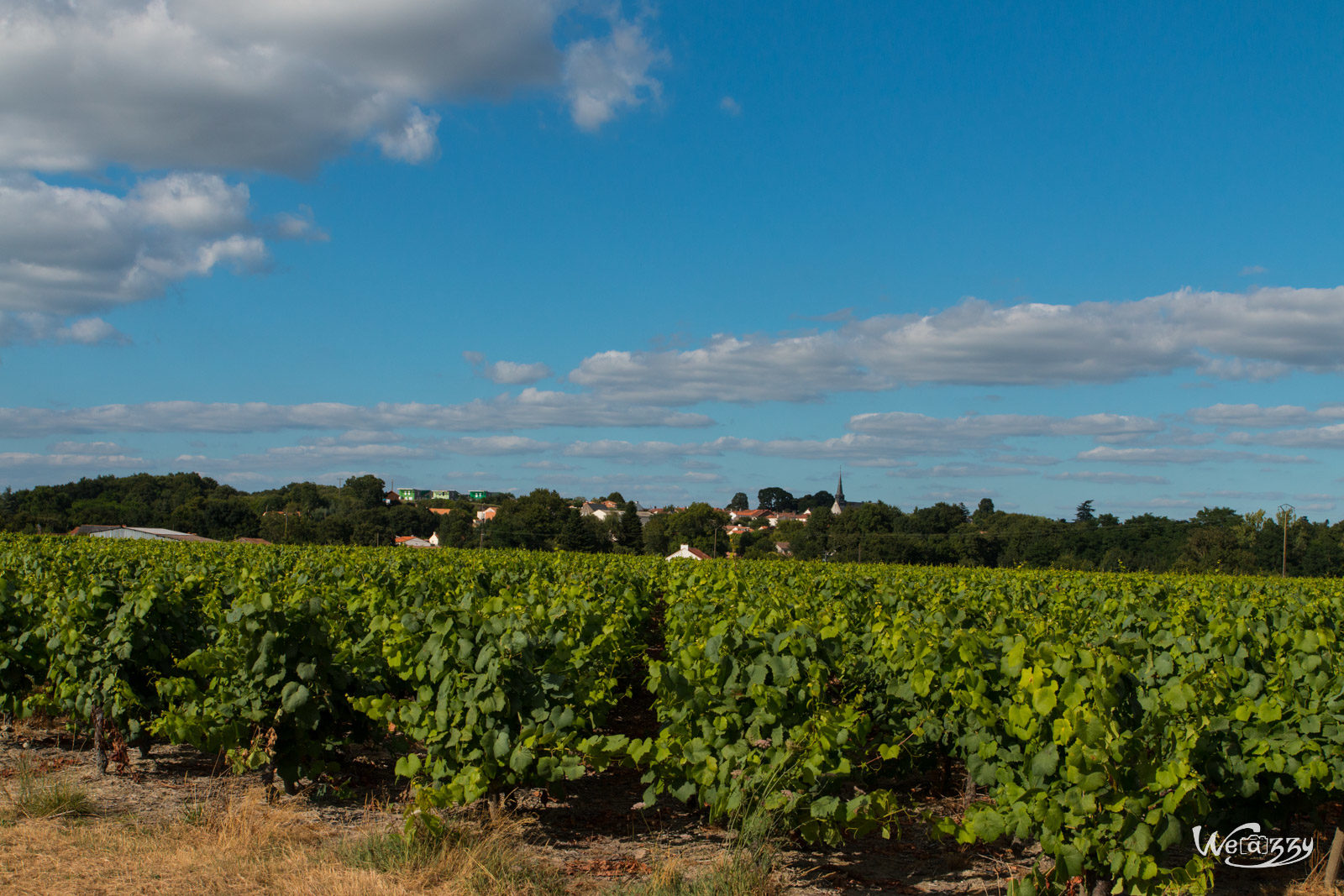 France, Nantes, Nature