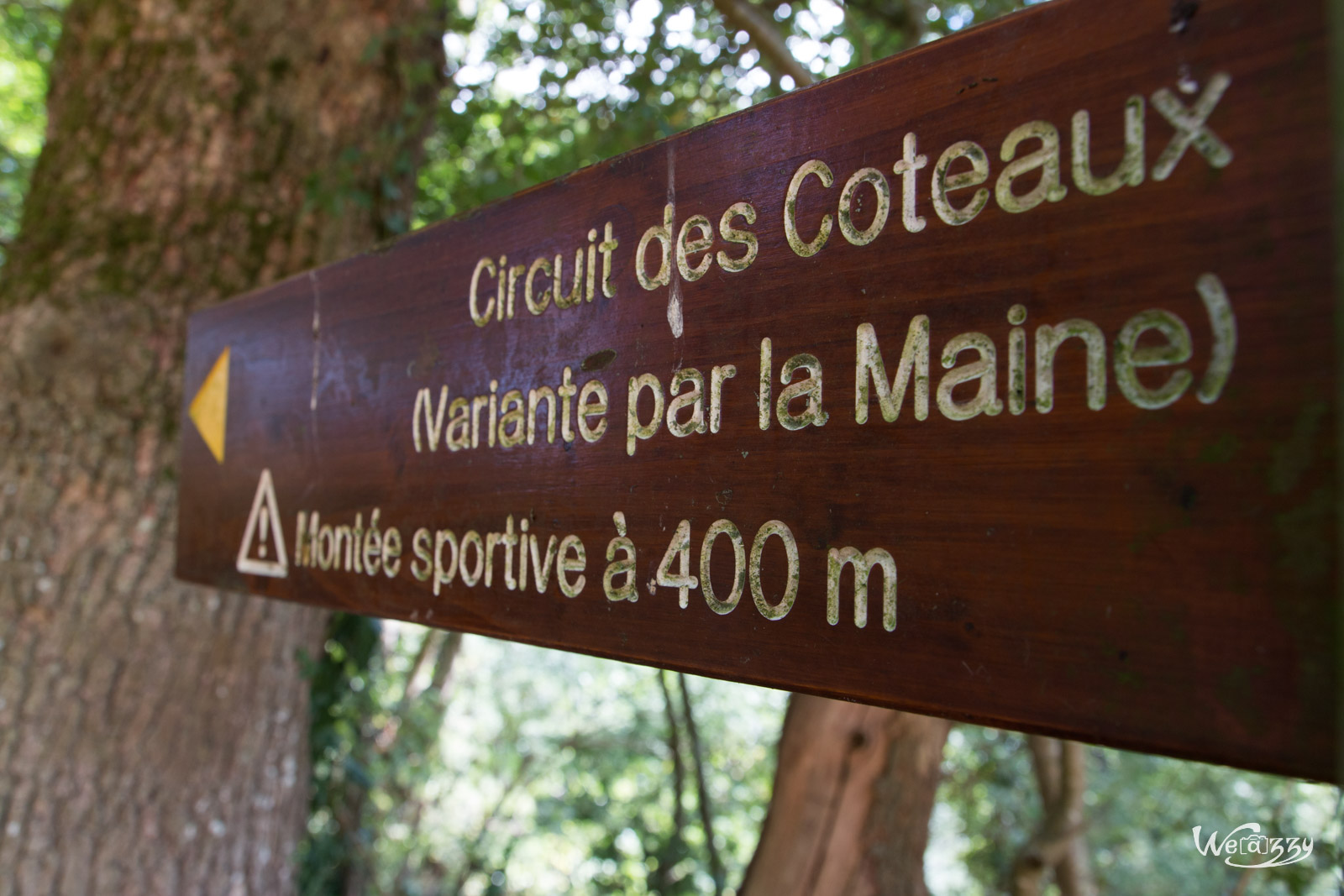 Randonnée estivale dans le vignoble et les coteaux de Nantes