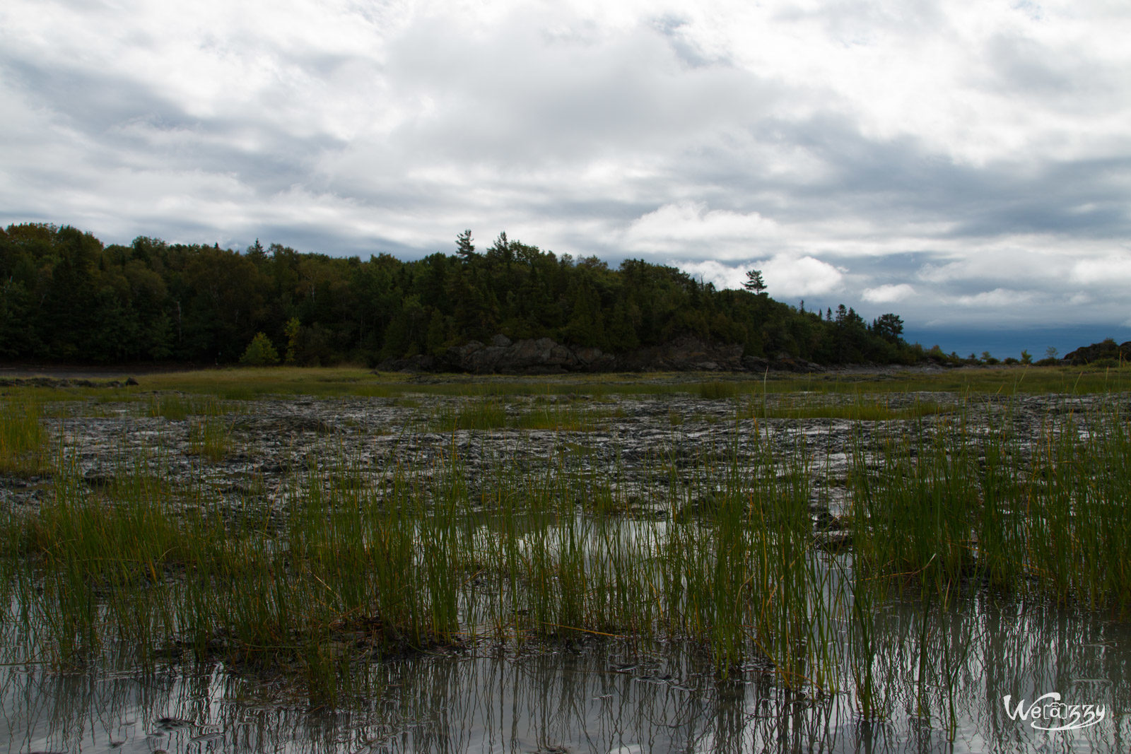 Canada, Ile, Ile aux grues, Montmagny, Québec, Voyage