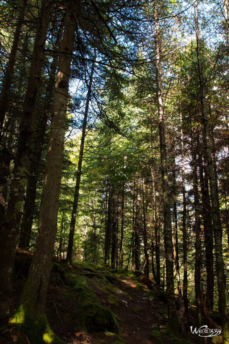 Appalaches, Canada, Lac Carre, Montagne, Québec, Voyage