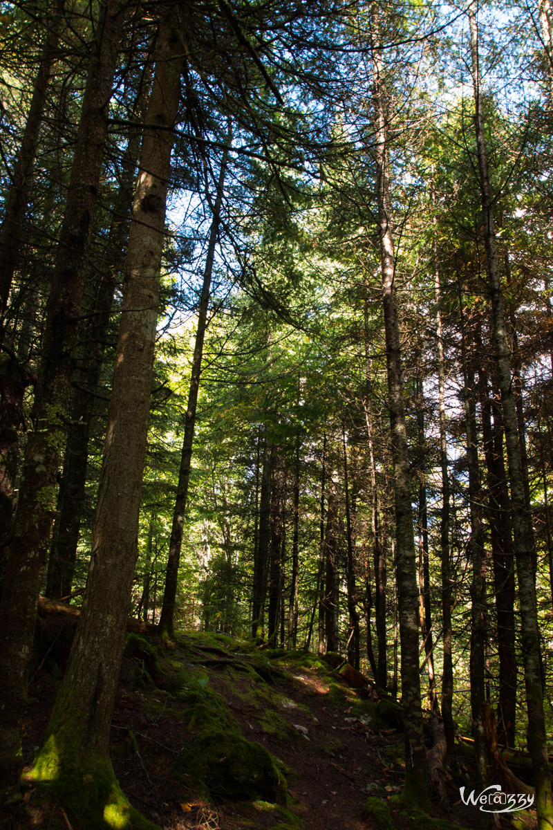 Appalaches, Canada, Lac Carre, Quebec