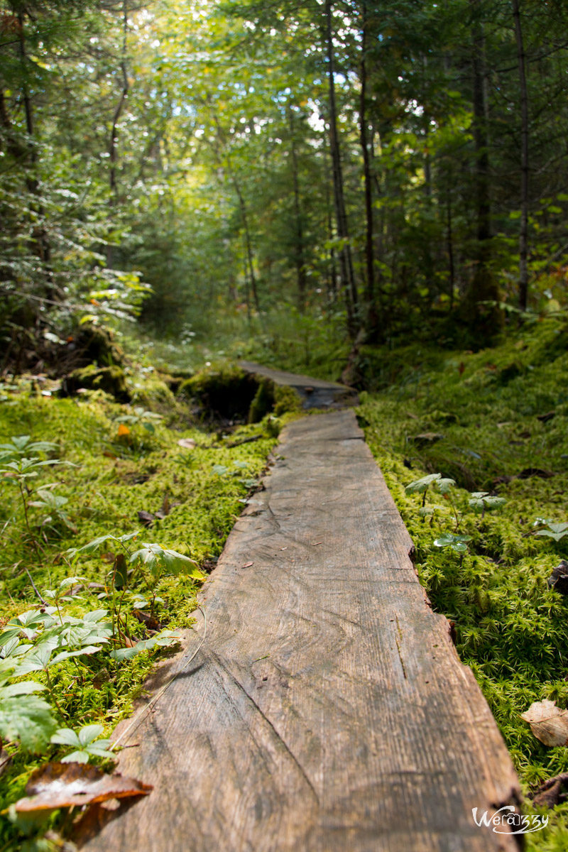 Appalaches, Canada, Lac Carre, Montagne, Québec, Voyage