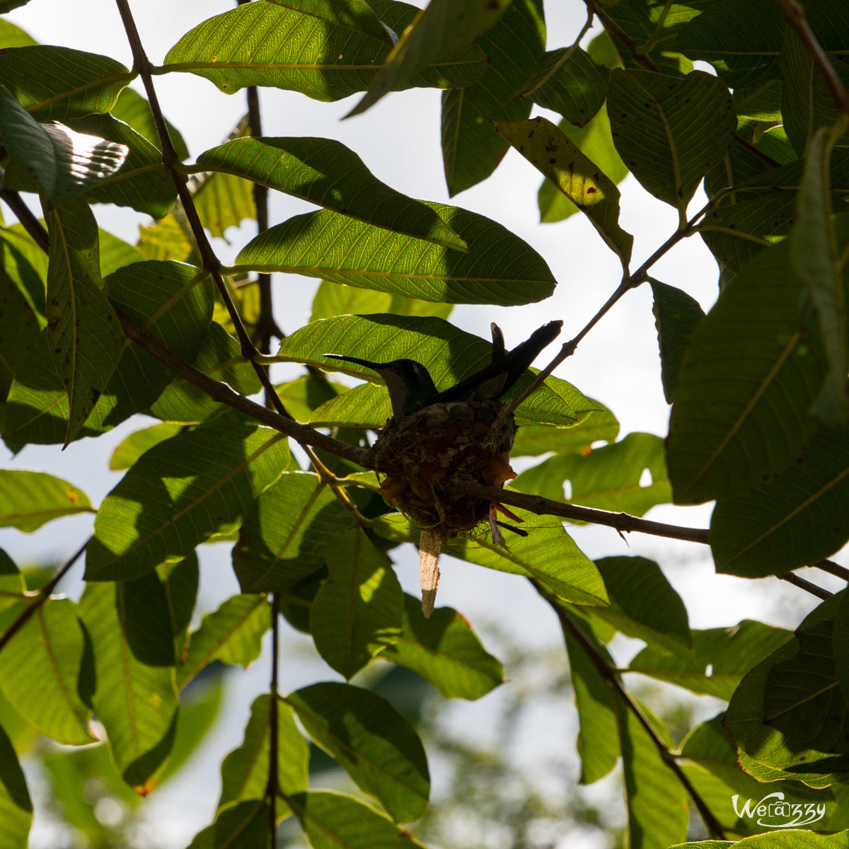 Cuba, Vinales, Voyage