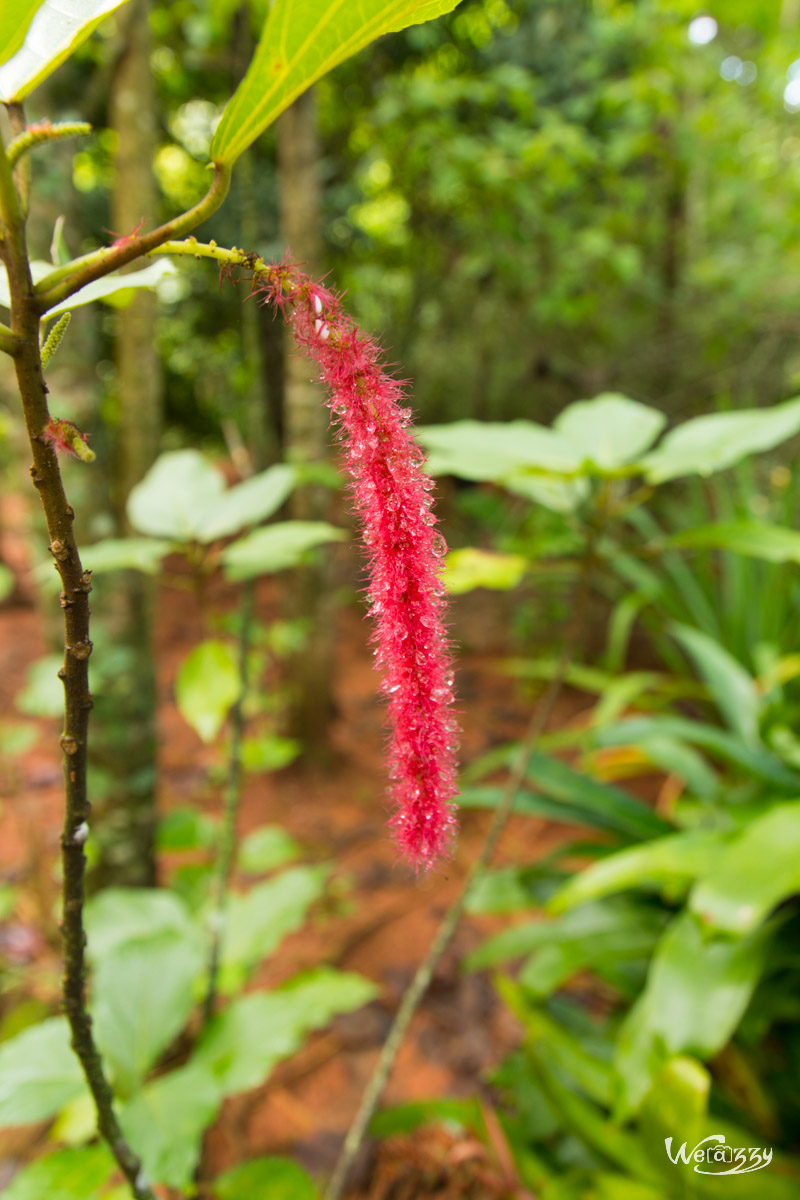 Cuba, Vinales