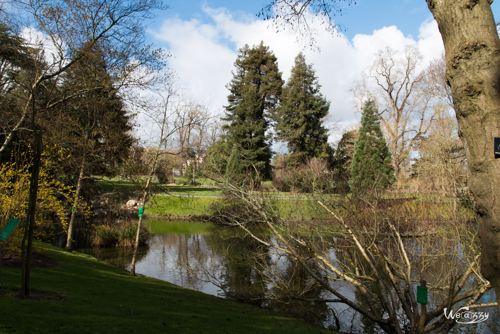 Jardin, Nantes, Printemps