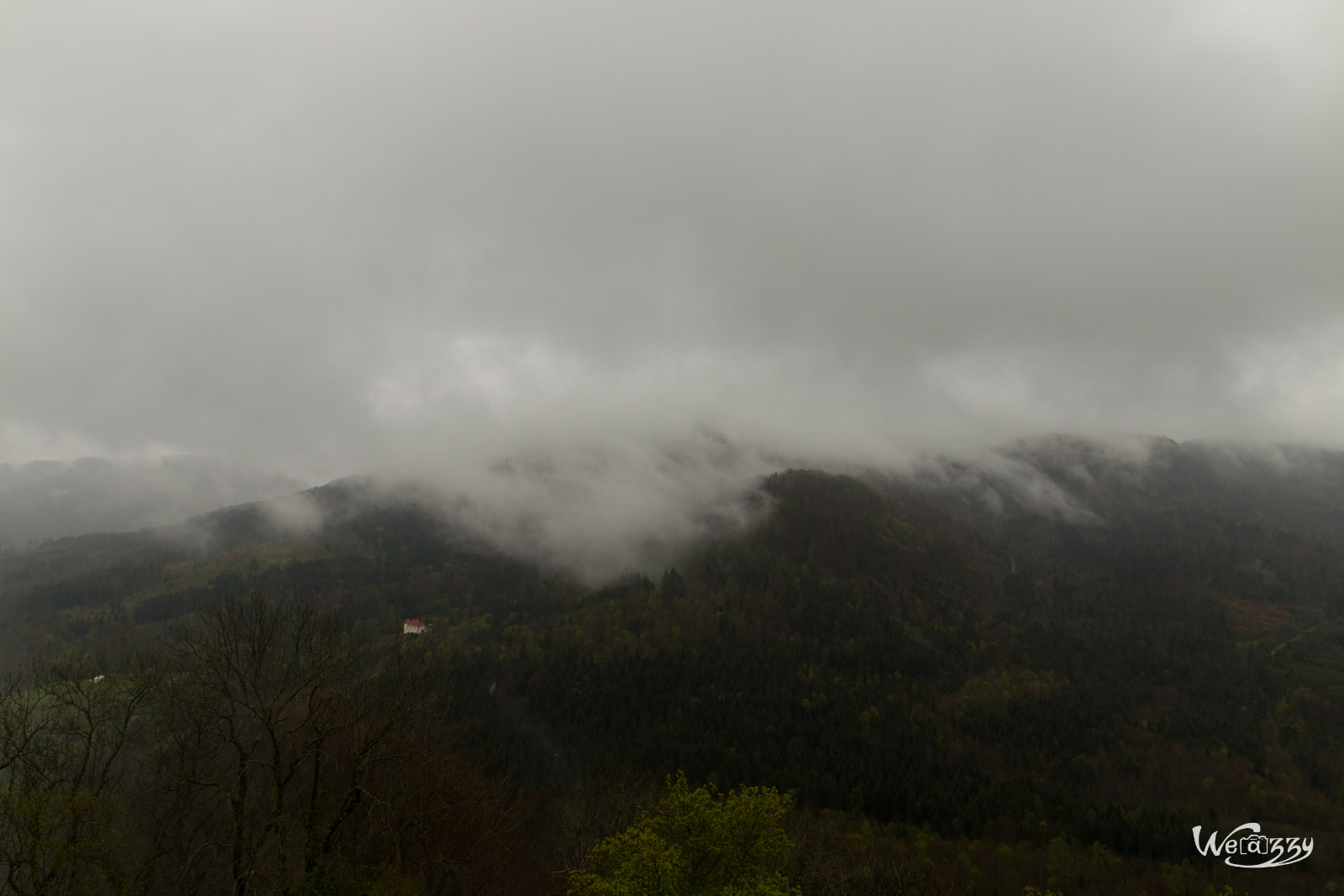 Allemagne, Hohenzollern