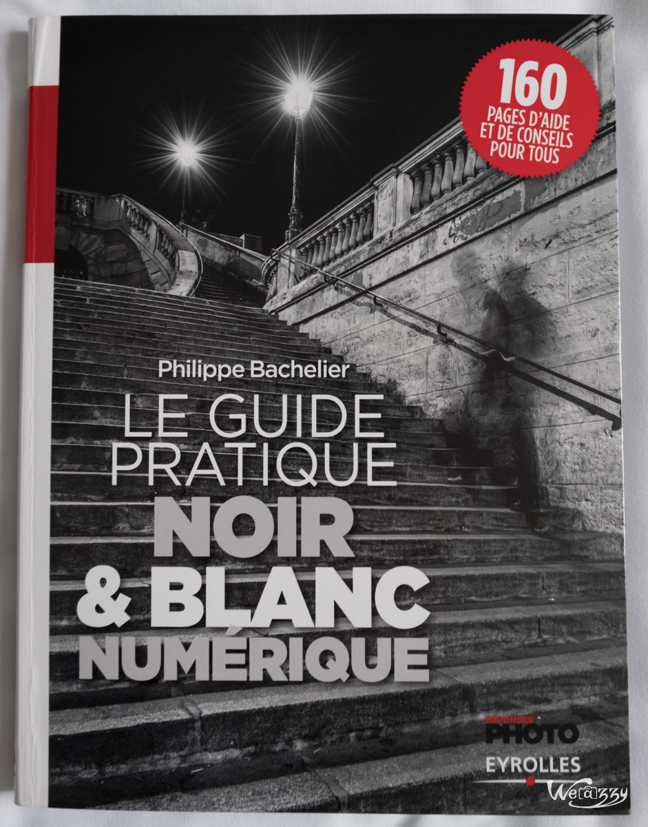 guide, livre, n&b