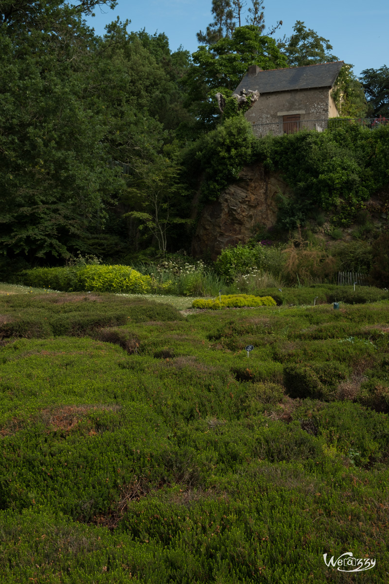 France, Nantes, Roseraie, jardin