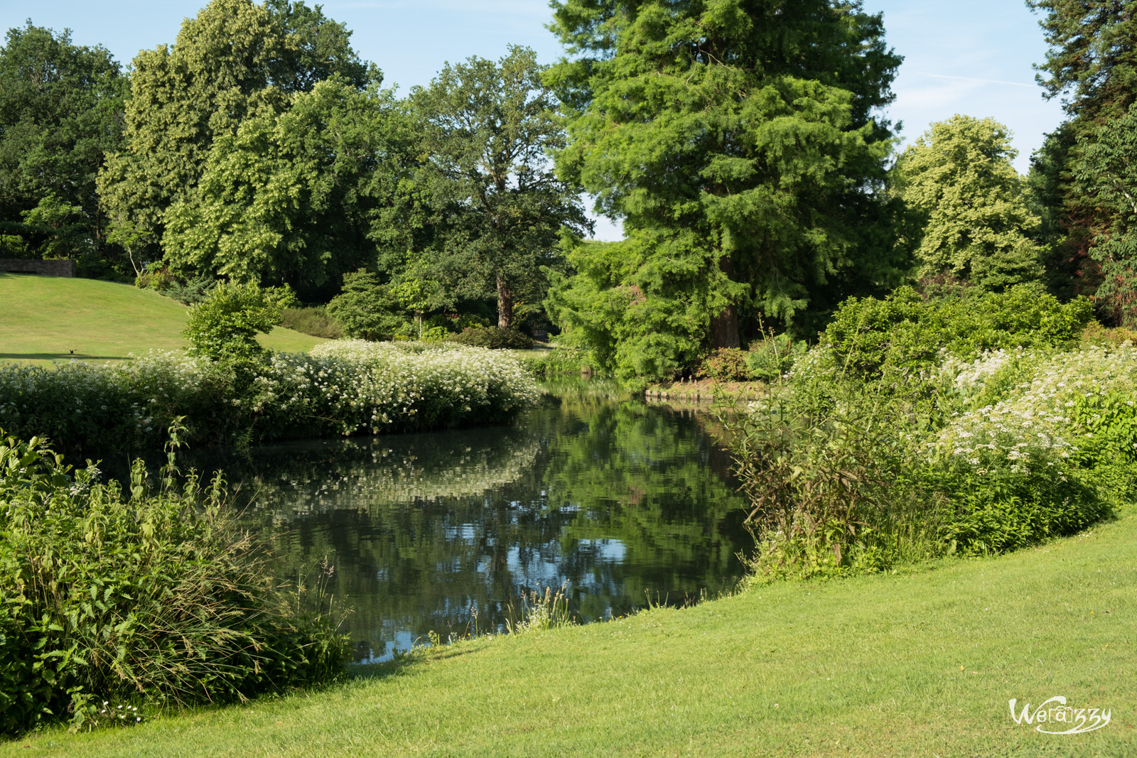 France, Nantes, Roseraie, jardin