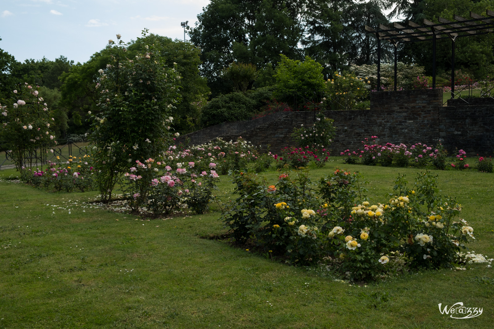 France, Nantes, Roseraie, jardin