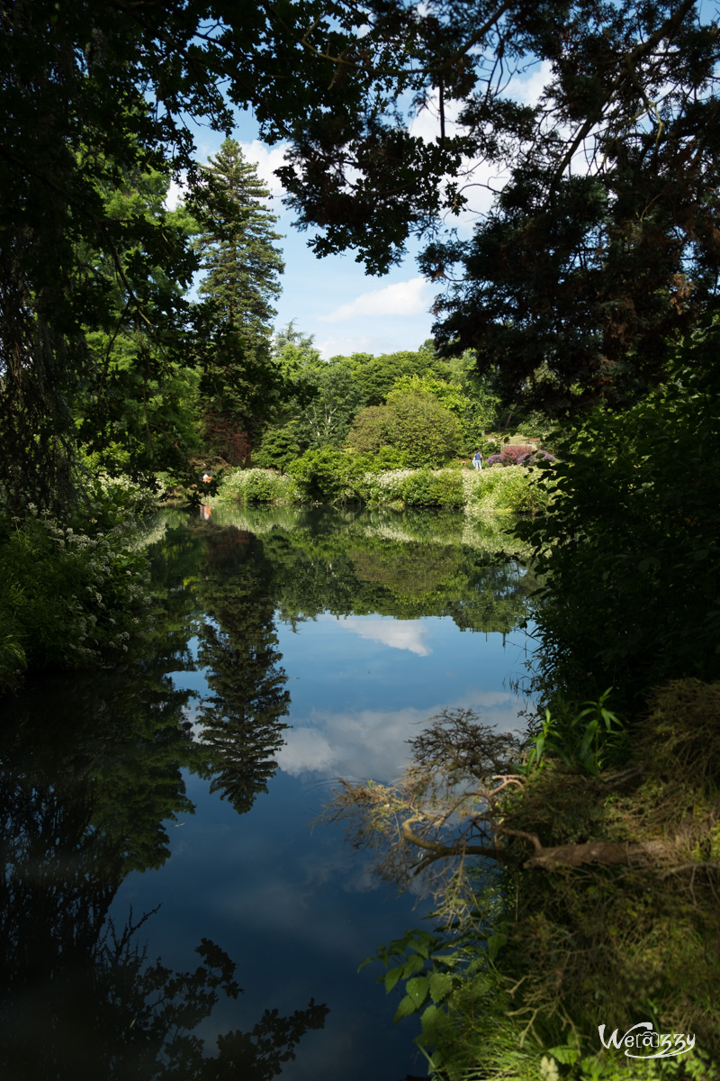 France, Nantes, Roseraie, jardin