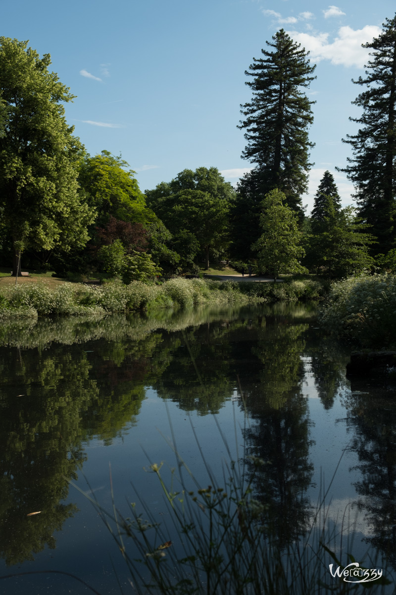 France, Nantes, Roseraie, jardin