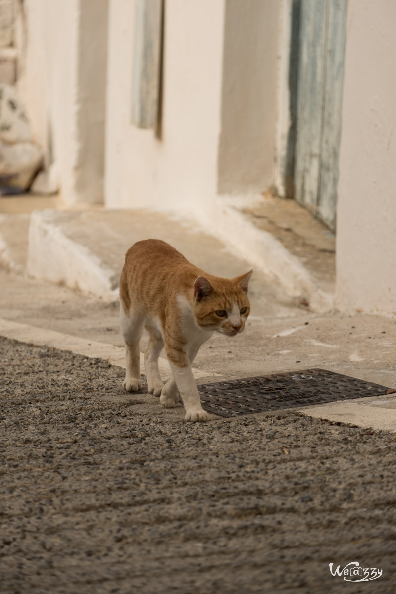 Crete, Mochlos, road-trip