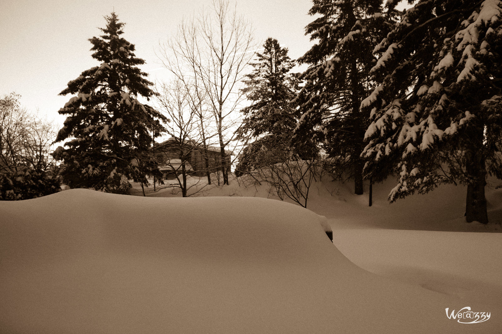 Canada, Hiver, Québec, Voyage