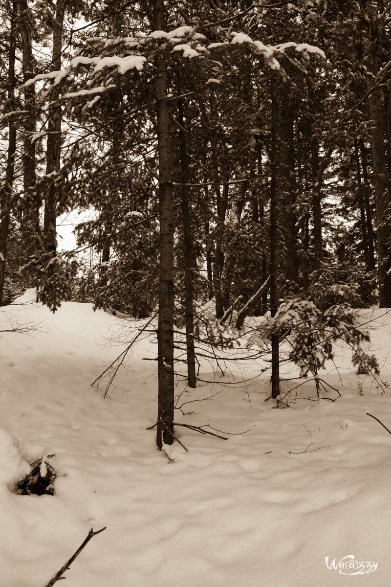 Canada, Québec, hiver