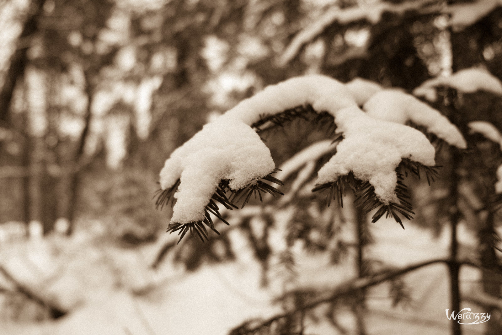 Canada, Québec, hiver