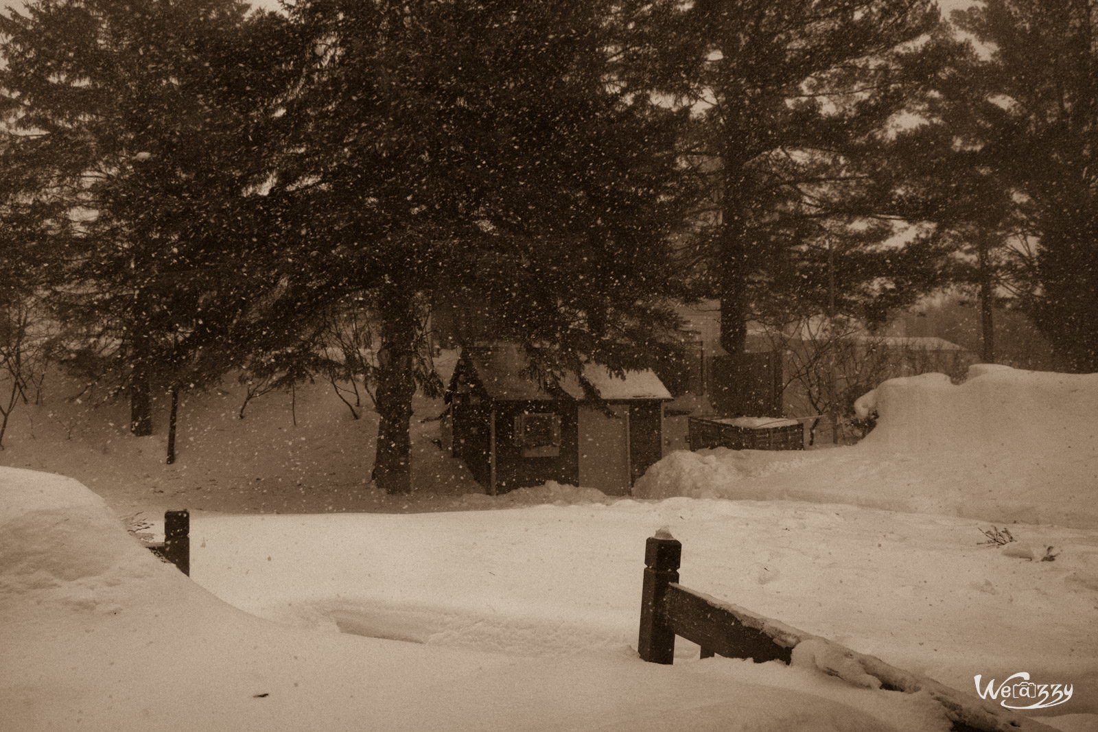 Canada, Hiver, Québec, Voyage