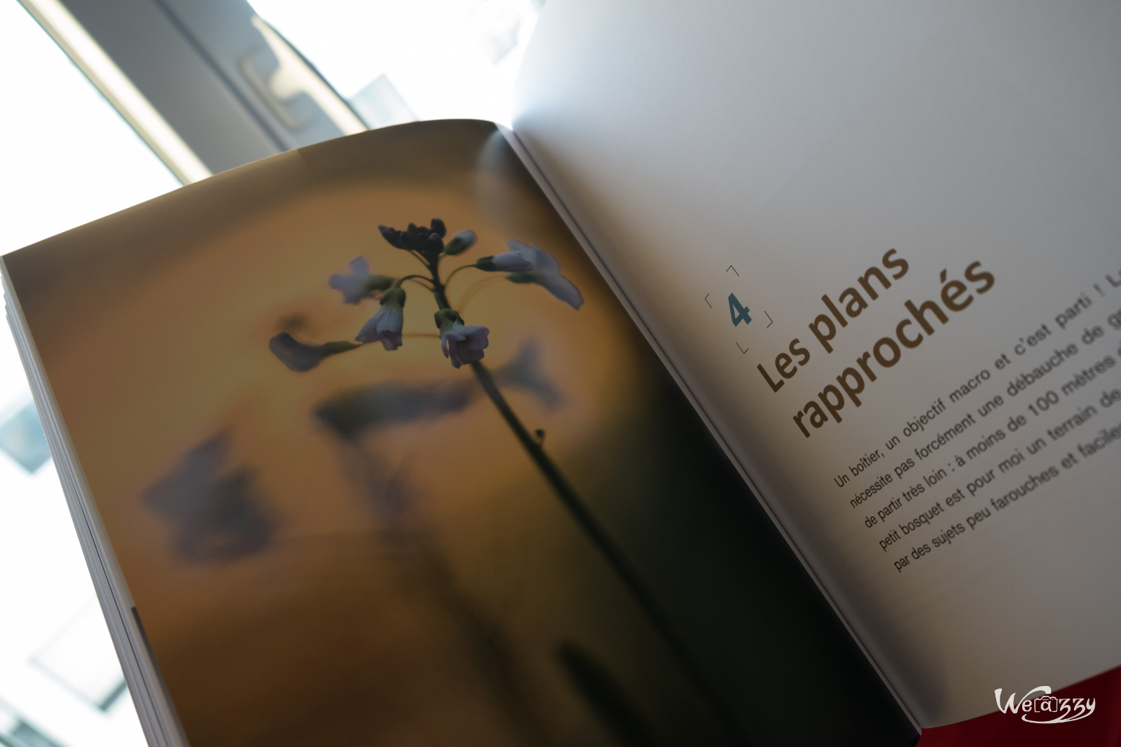 Ma Lecture Photo – Secrets de photo de nature par Erwan B.