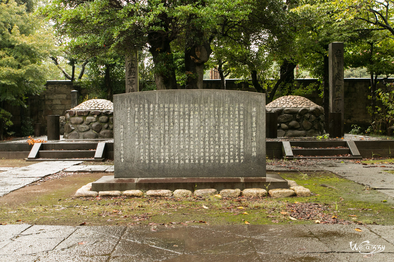Japon, Tokyo, Voyage