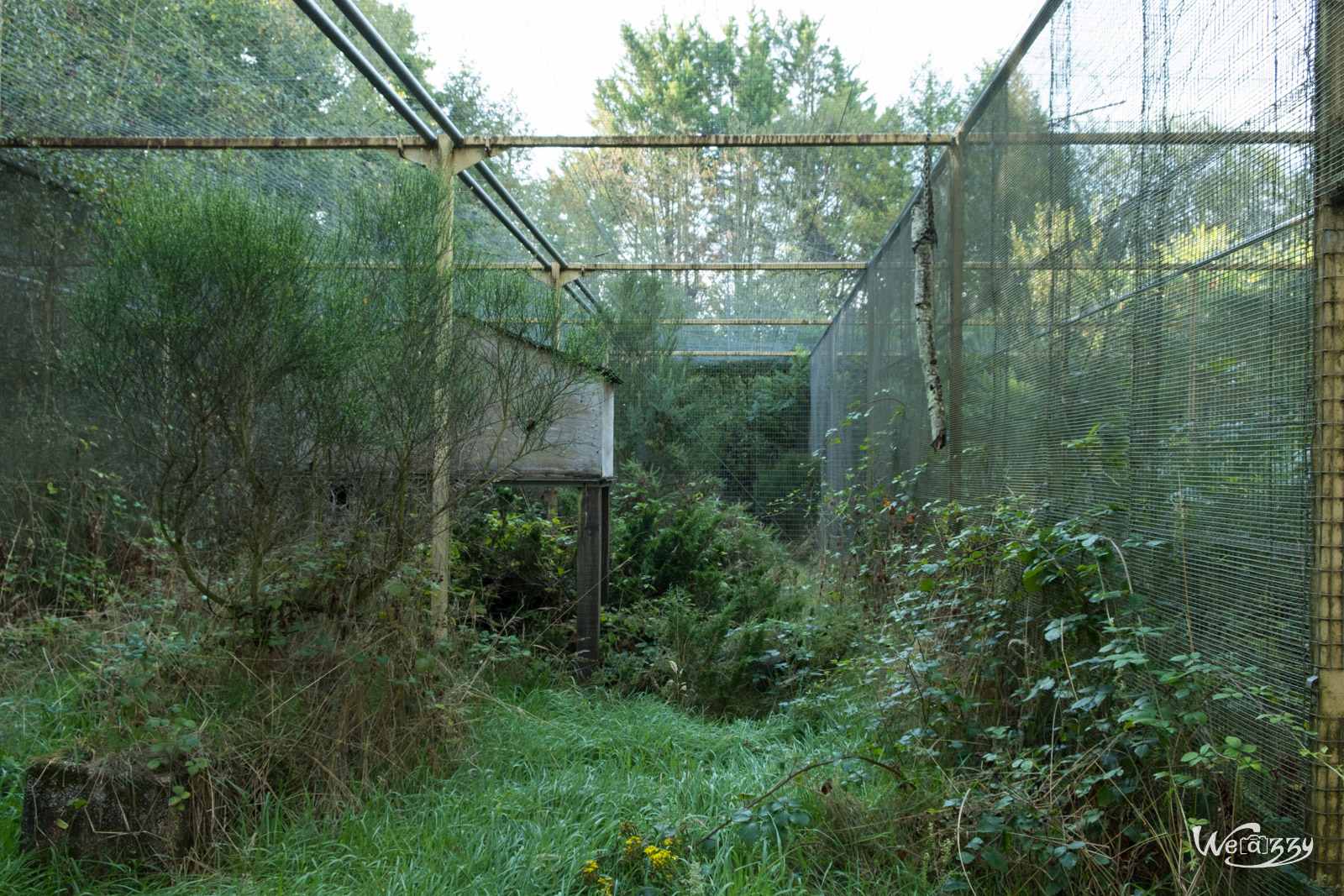 Abandonné, Rennes, Urbex, Zoo