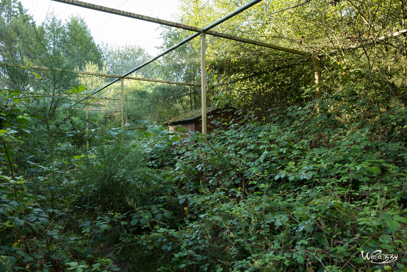 Abandonné, Rennes, Urbex, Zoo