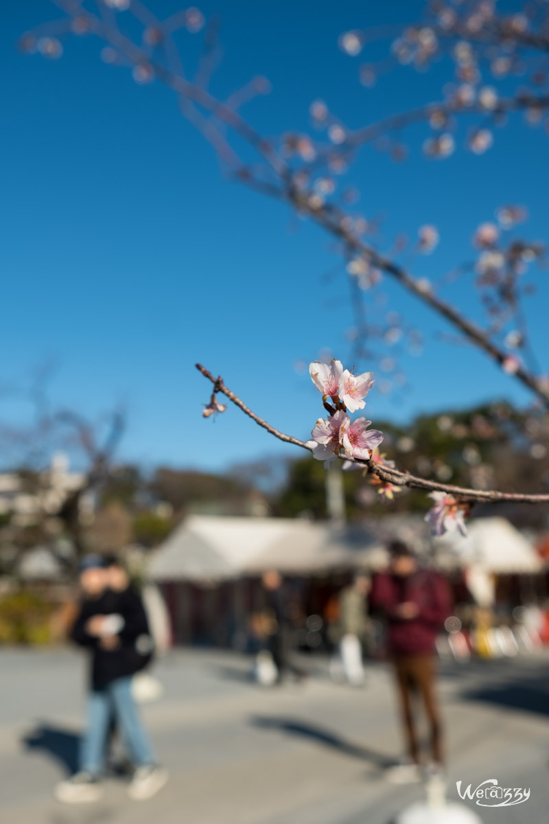 Japon, Tokyo, Voyage, Parc, Ueno