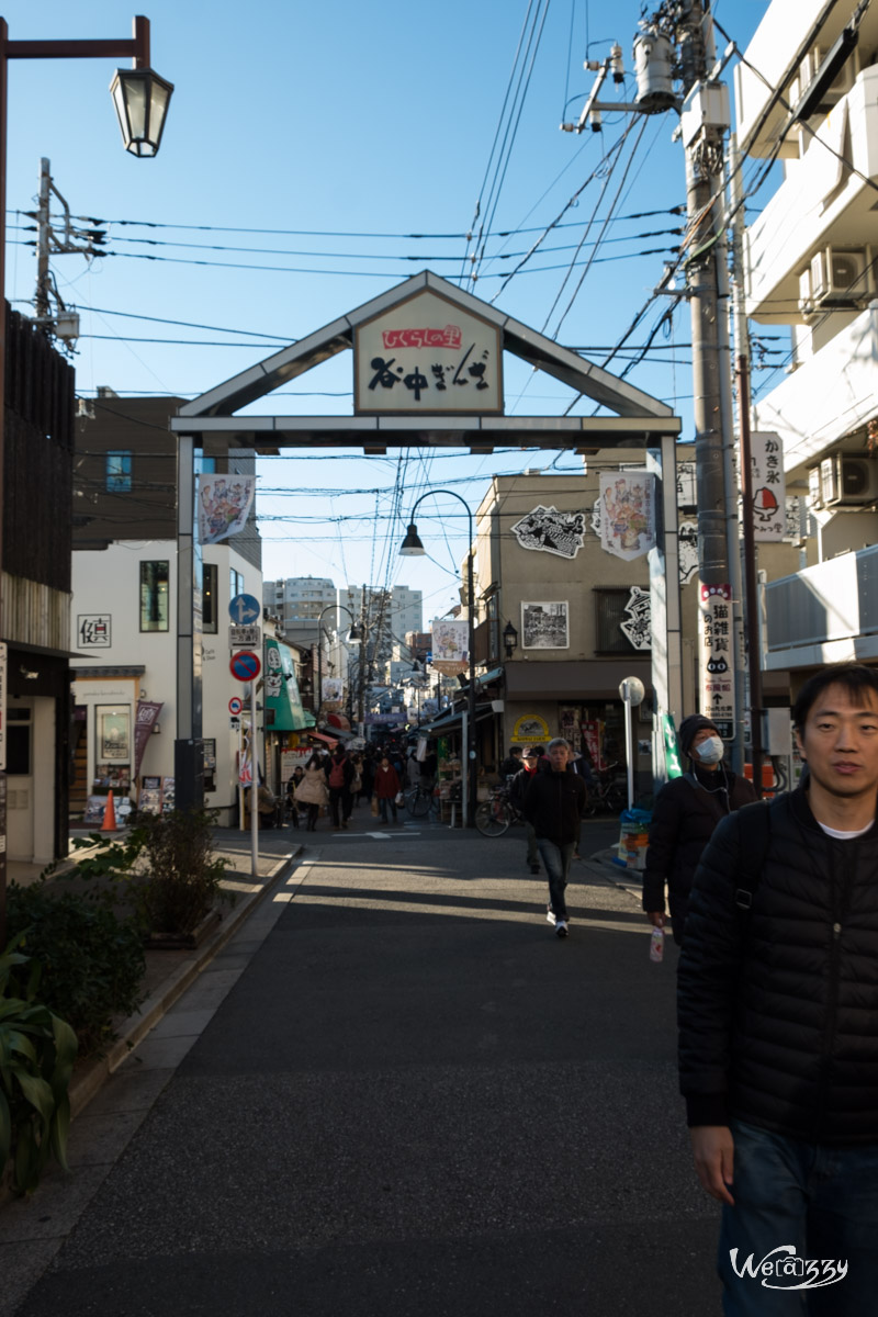 Japon, Tokyo, Voyage, Yanaka