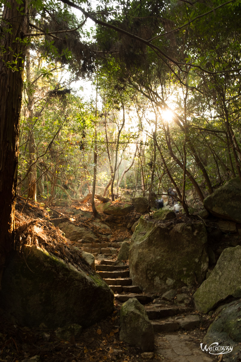 Japon, Miyajima, Voyage