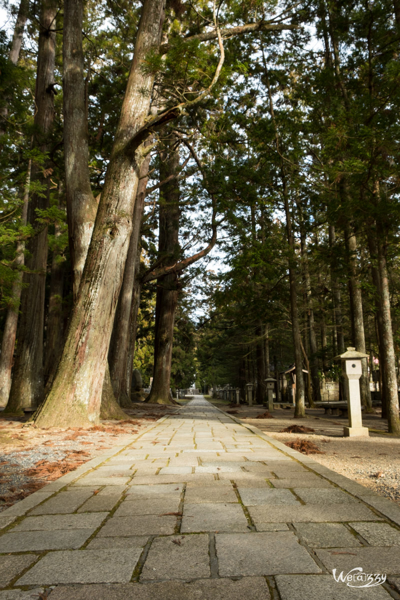 Japon, Koyasan, Voyage
