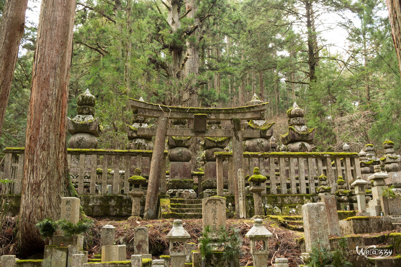 Japon, Koyasan, Voyage, cimetière, sacrés