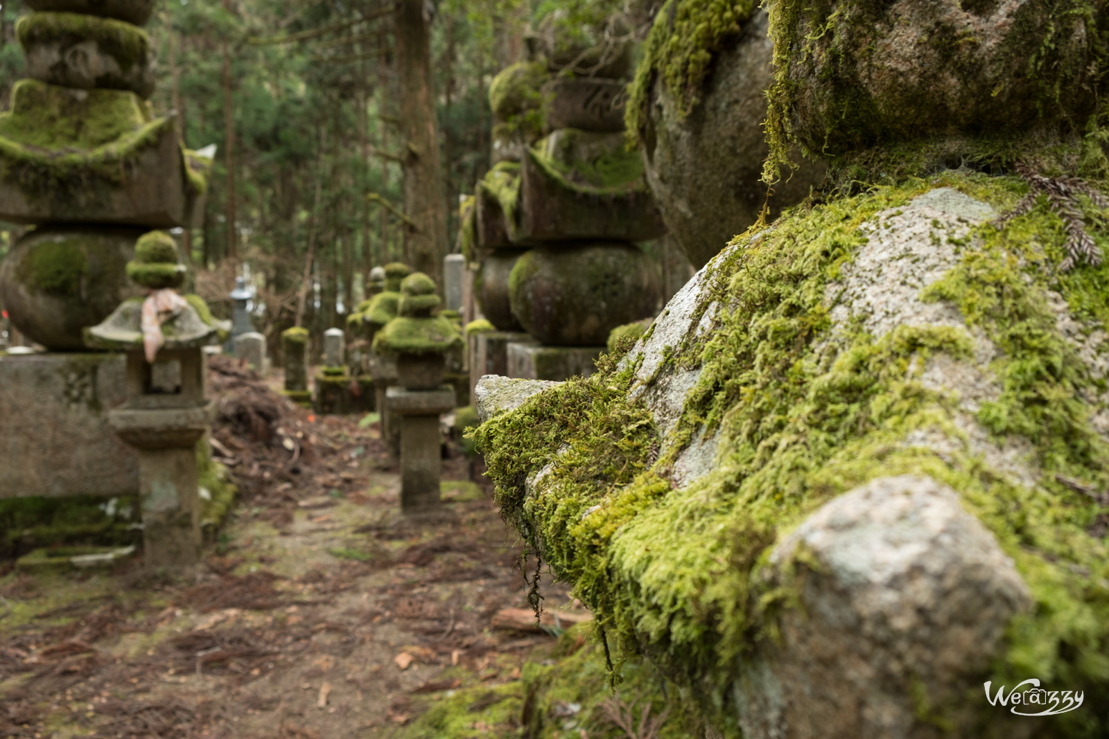 Japon, Koyasan, Voyage, cimetière, sacrés