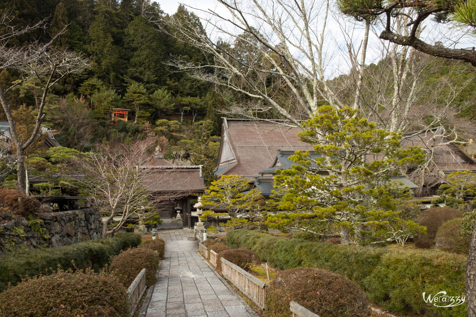 Japon, Koyasan, Voyage