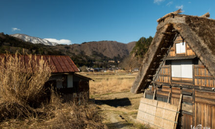 Retour au Japon – Balades dans des villes de campagne