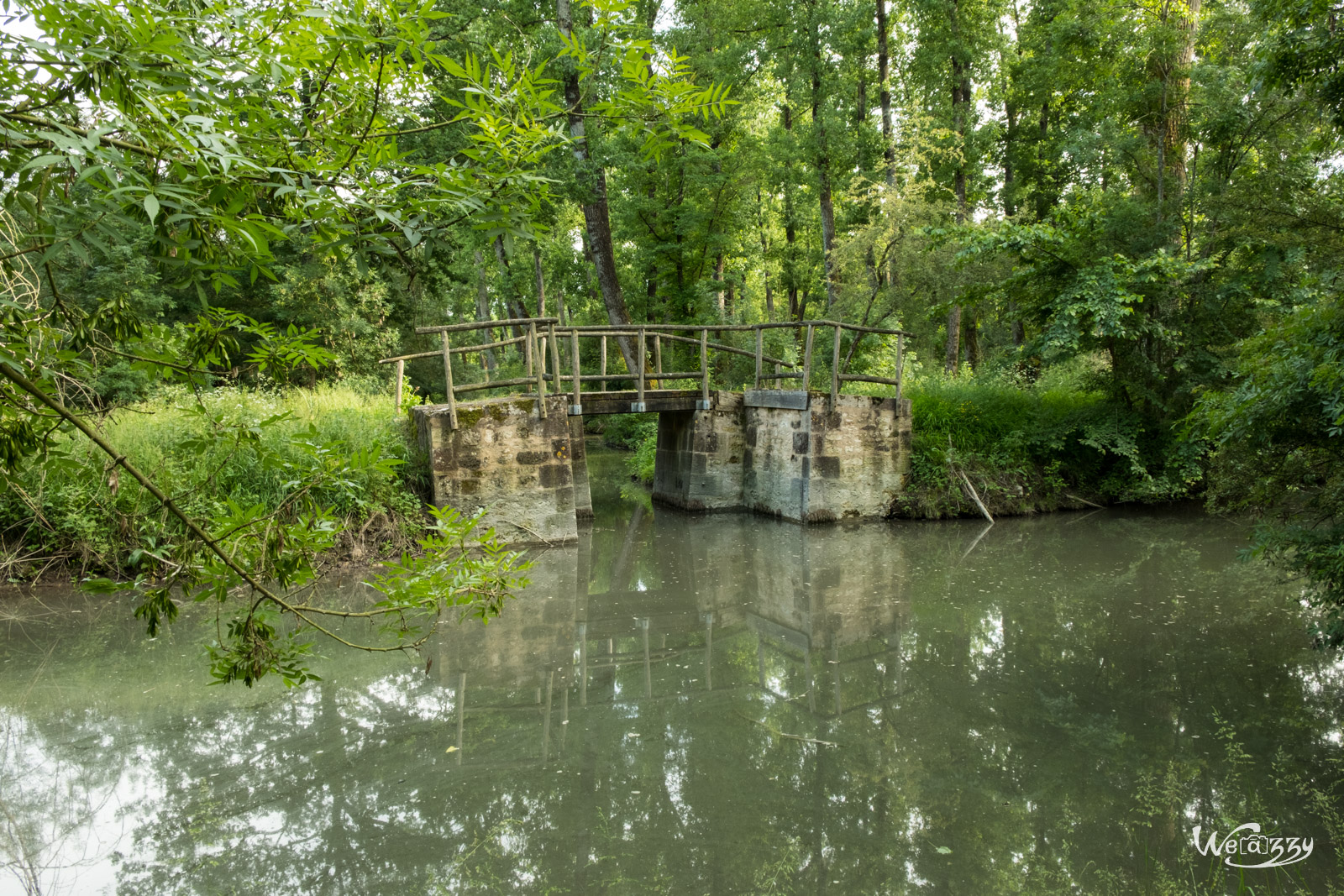 Marais, Nature, Poitevin