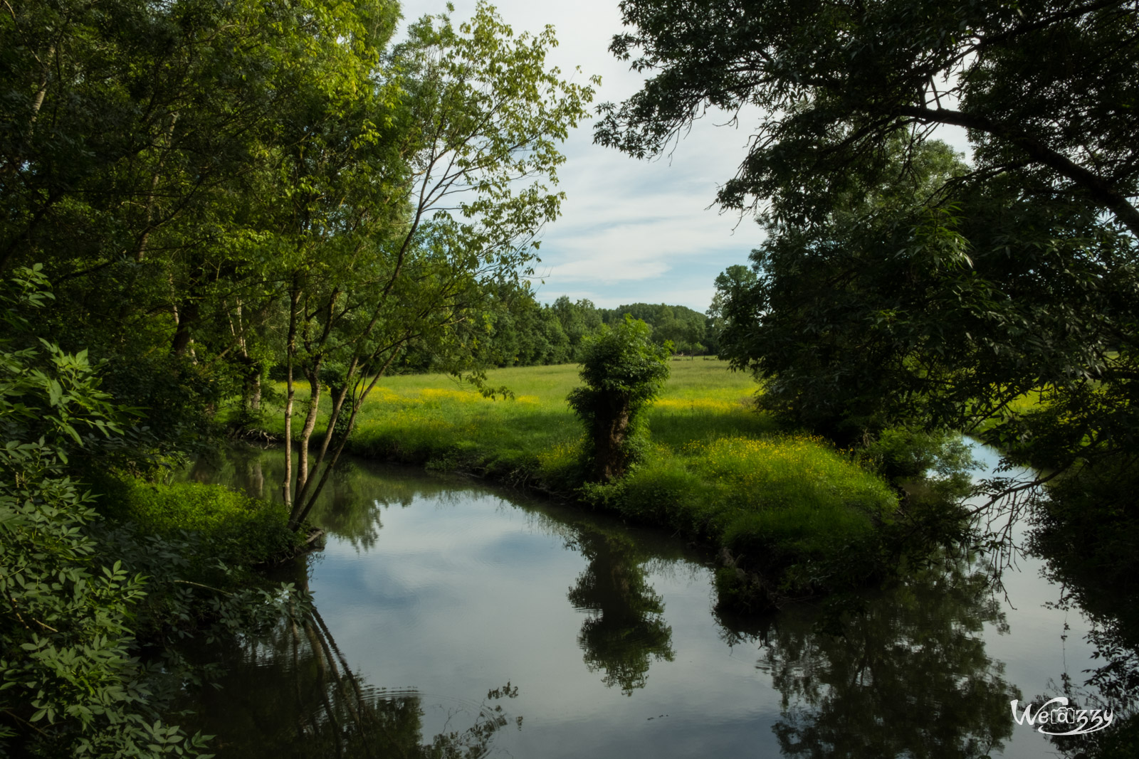 Marais, Nature, Poitevin