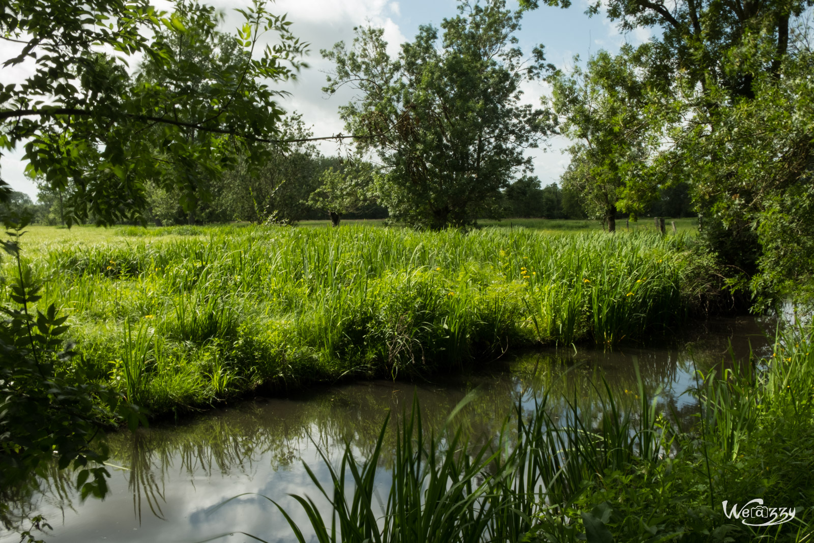 Marais, Nature, Poitevin