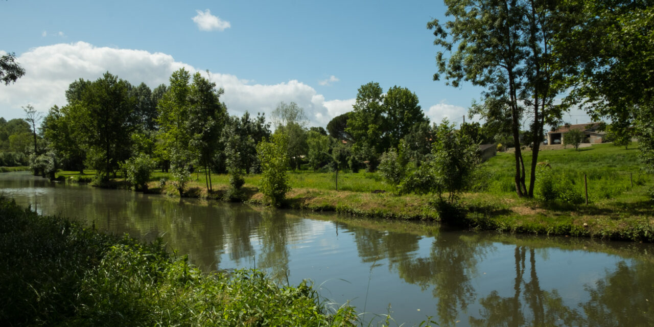 Mes premiers pas dans le marais poitevin – Un monde vert